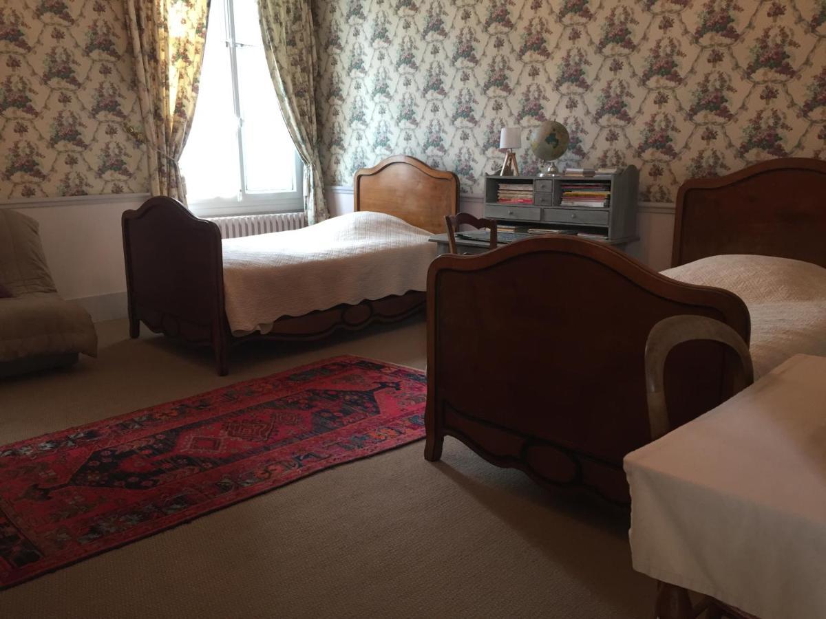 Lussault-sur-Loire 샤토 드 핀트레이 B&B 외부 사진