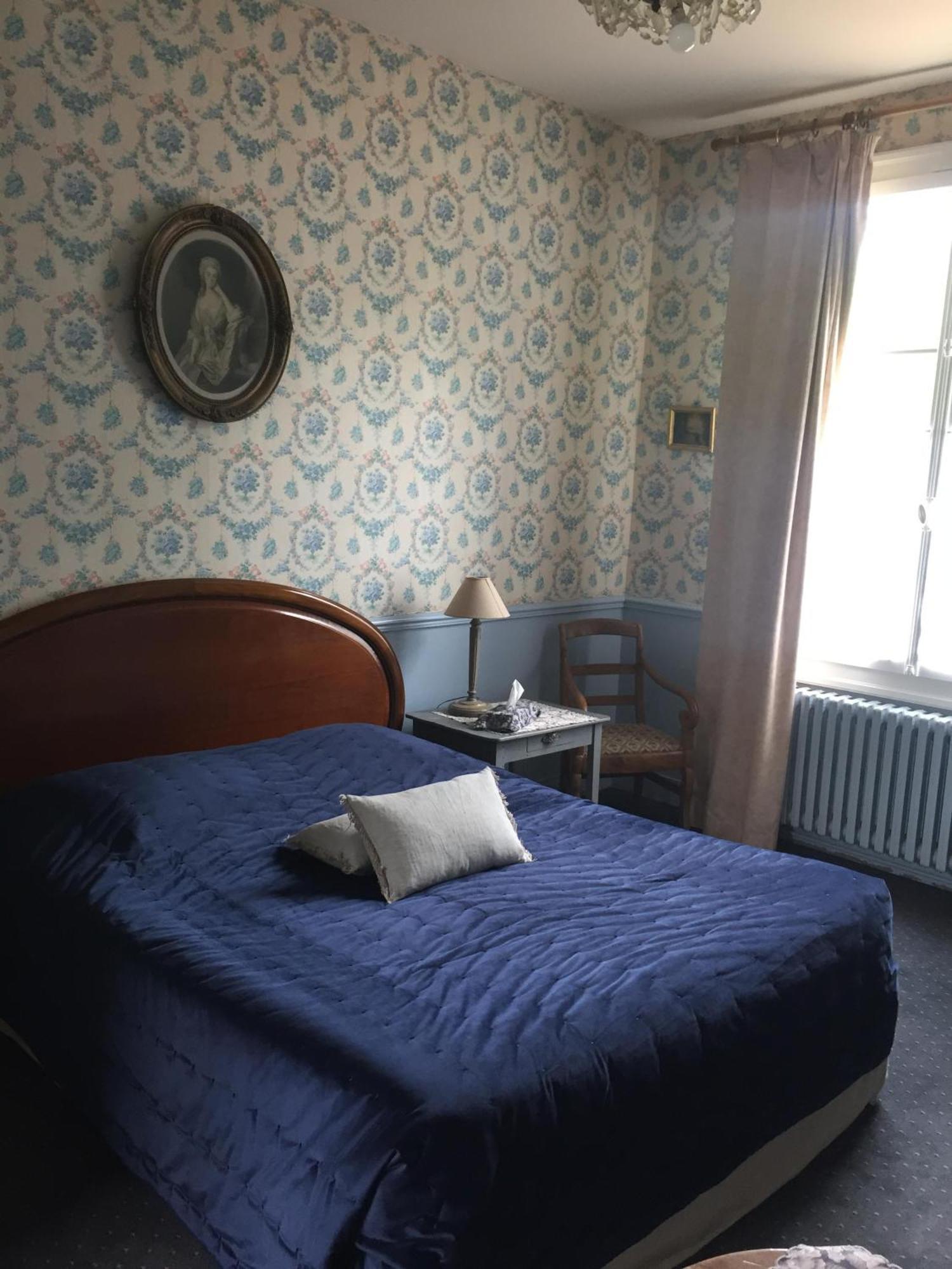 Lussault-sur-Loire 샤토 드 핀트레이 B&B 객실 사진